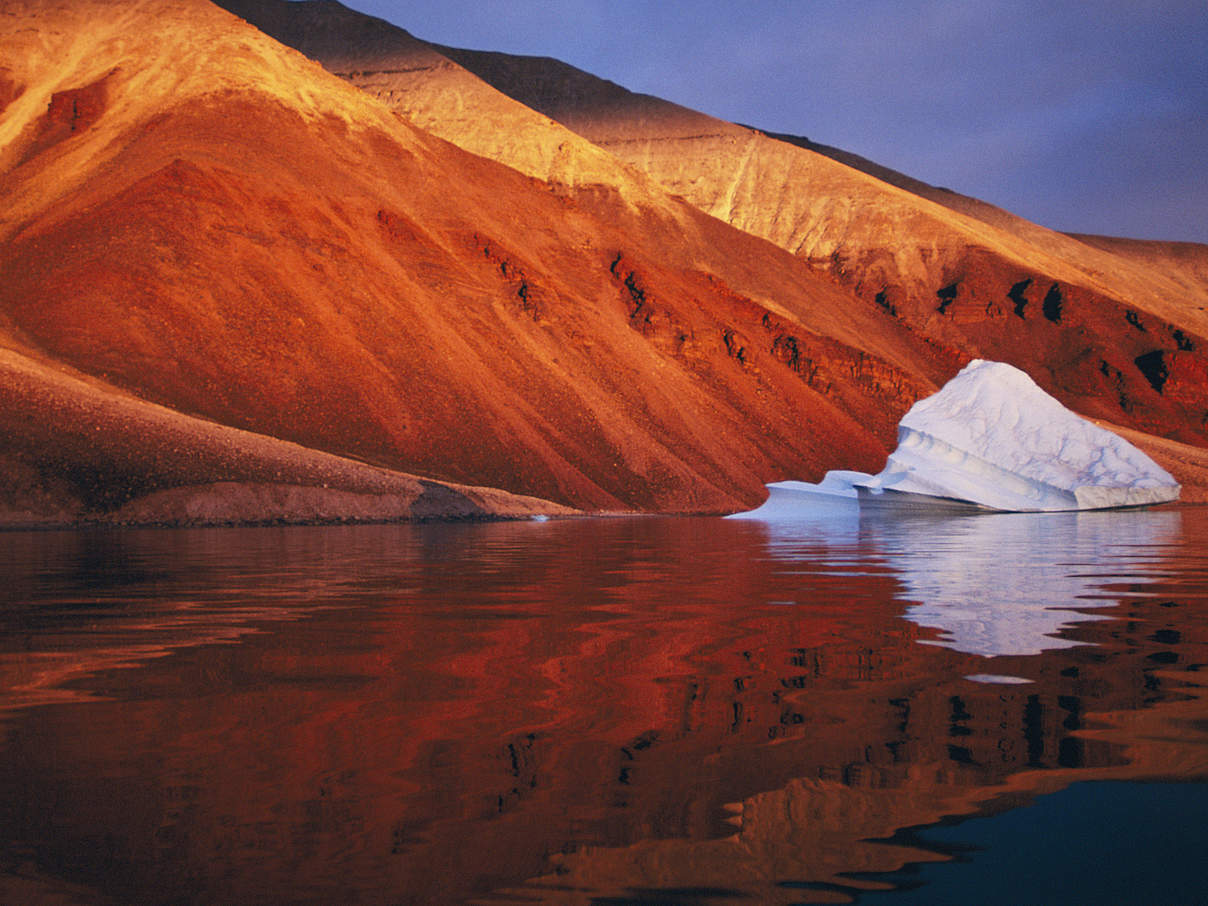 Schmelzender Eisberg in Grönland © Staffan Widstrand / WWF