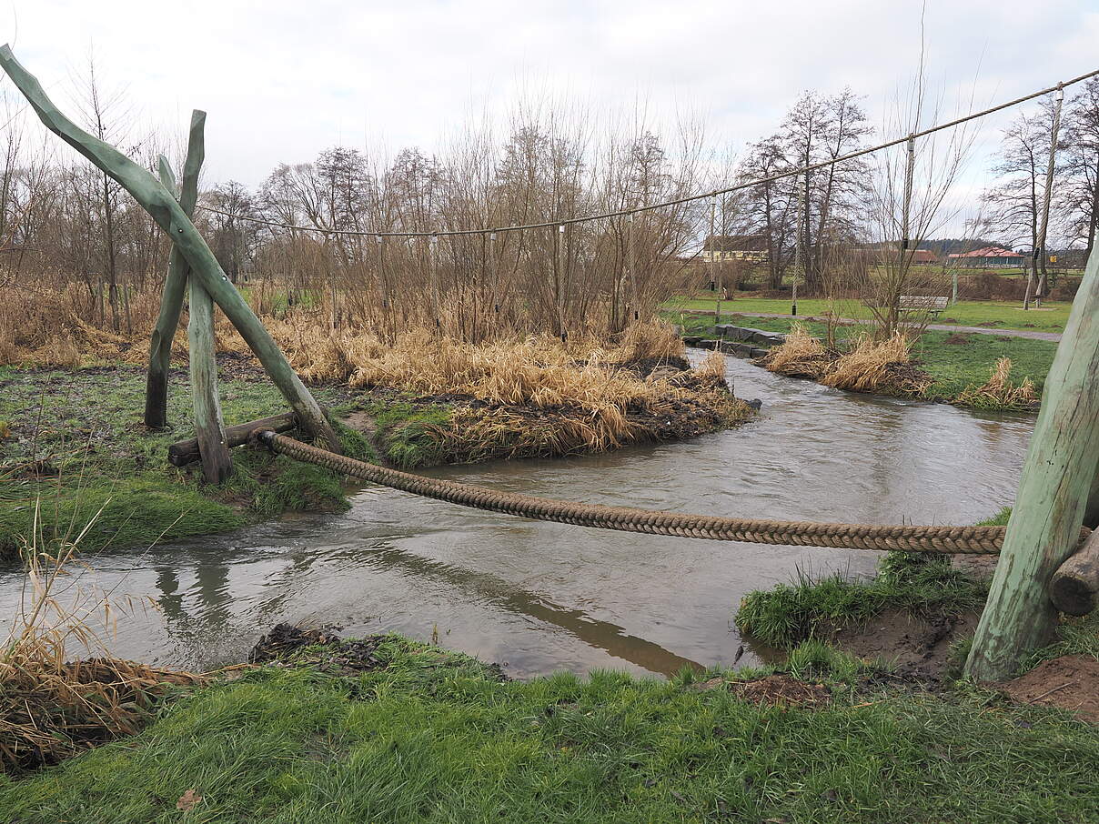 Auf dem Freizeitgelände Wenzenbach-Aue wird der Bach für die Anwohnenden erlebbar 