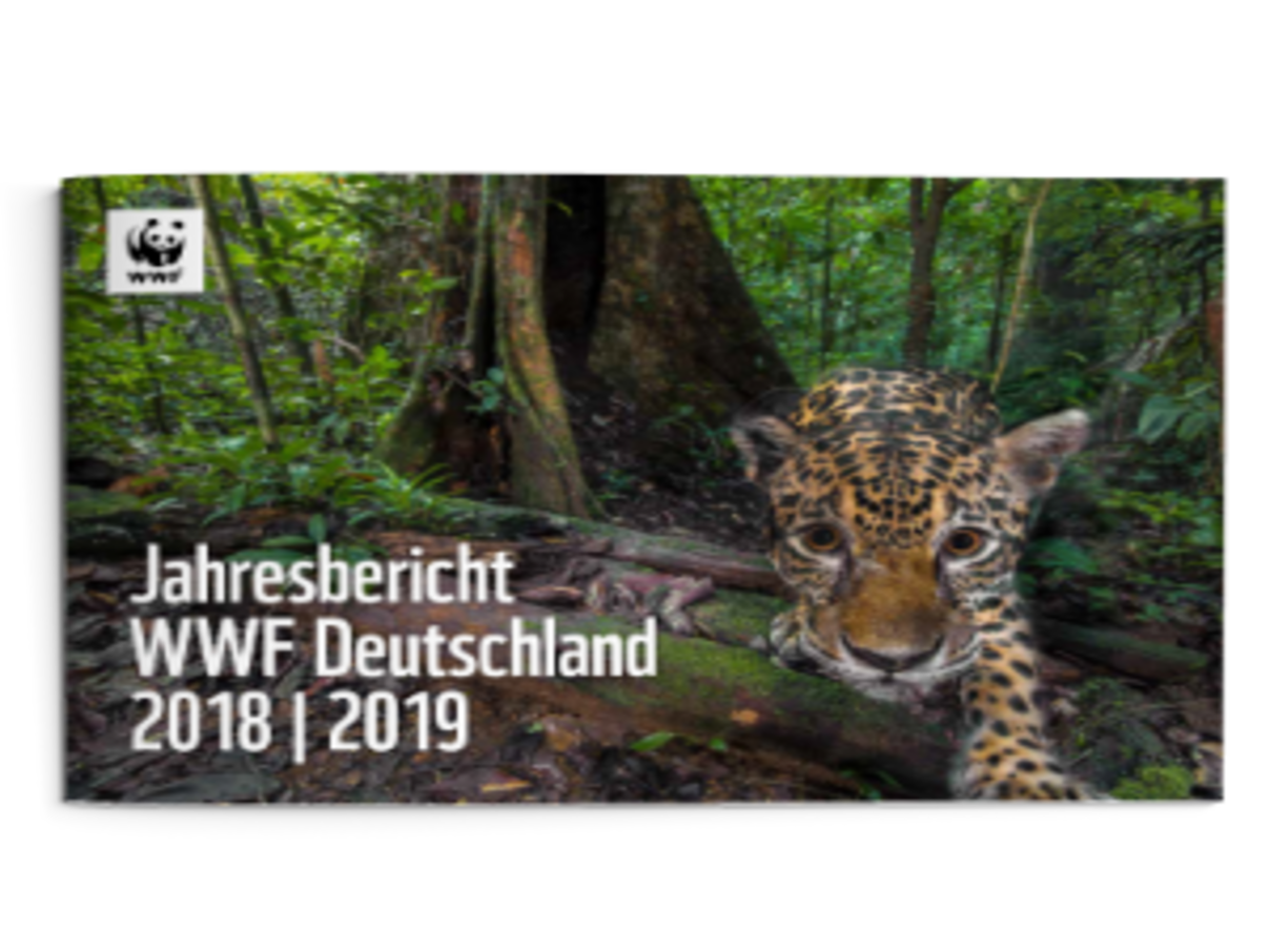 Jahresbericht WWF Deutschland 2018/19