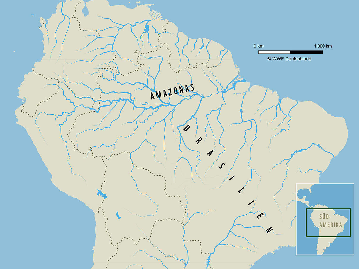 Karte des Amazonas-Gebiets © WWF