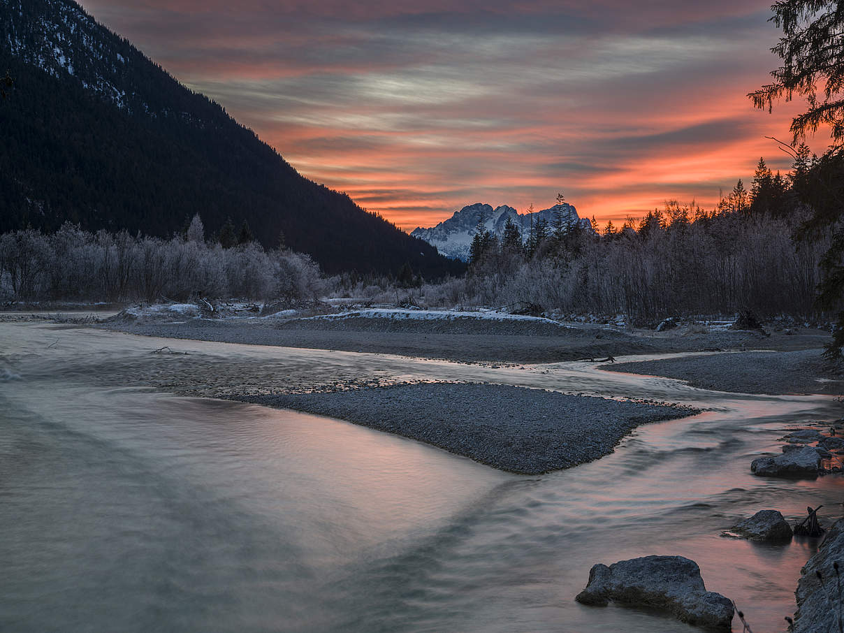 Isar | Fotoprojekt „verdammt.wild“ © Andreas Volz Isar | Fotoprojekt „verdammt.wild“ © Andreas Volz