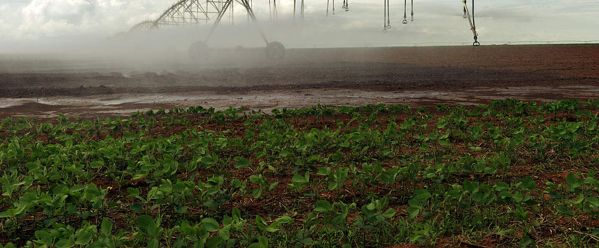 Bewässerungsanlage auf einem Sojafeld in Brasilien © Peter Caton / WWF-UK