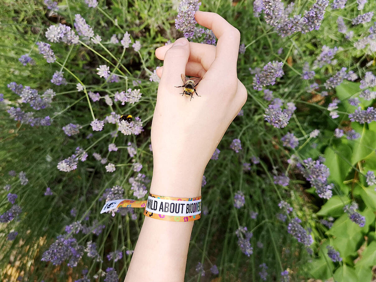 WWF-Armband: Wild about Biodiversity am Arm zu sehen mit einer Hummel