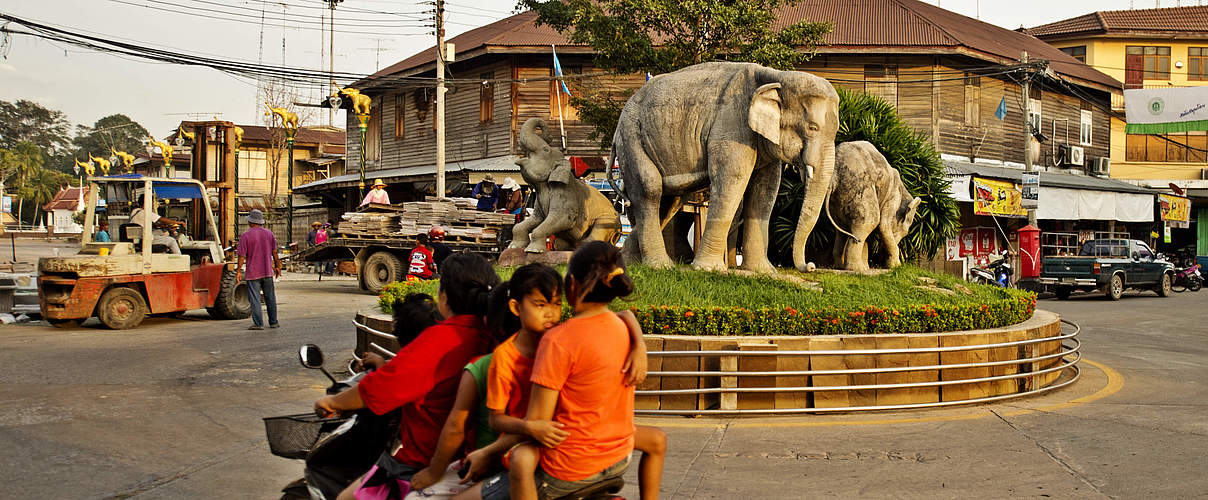 Elefanten in thailändischer Kultur © WWF / James Morgan