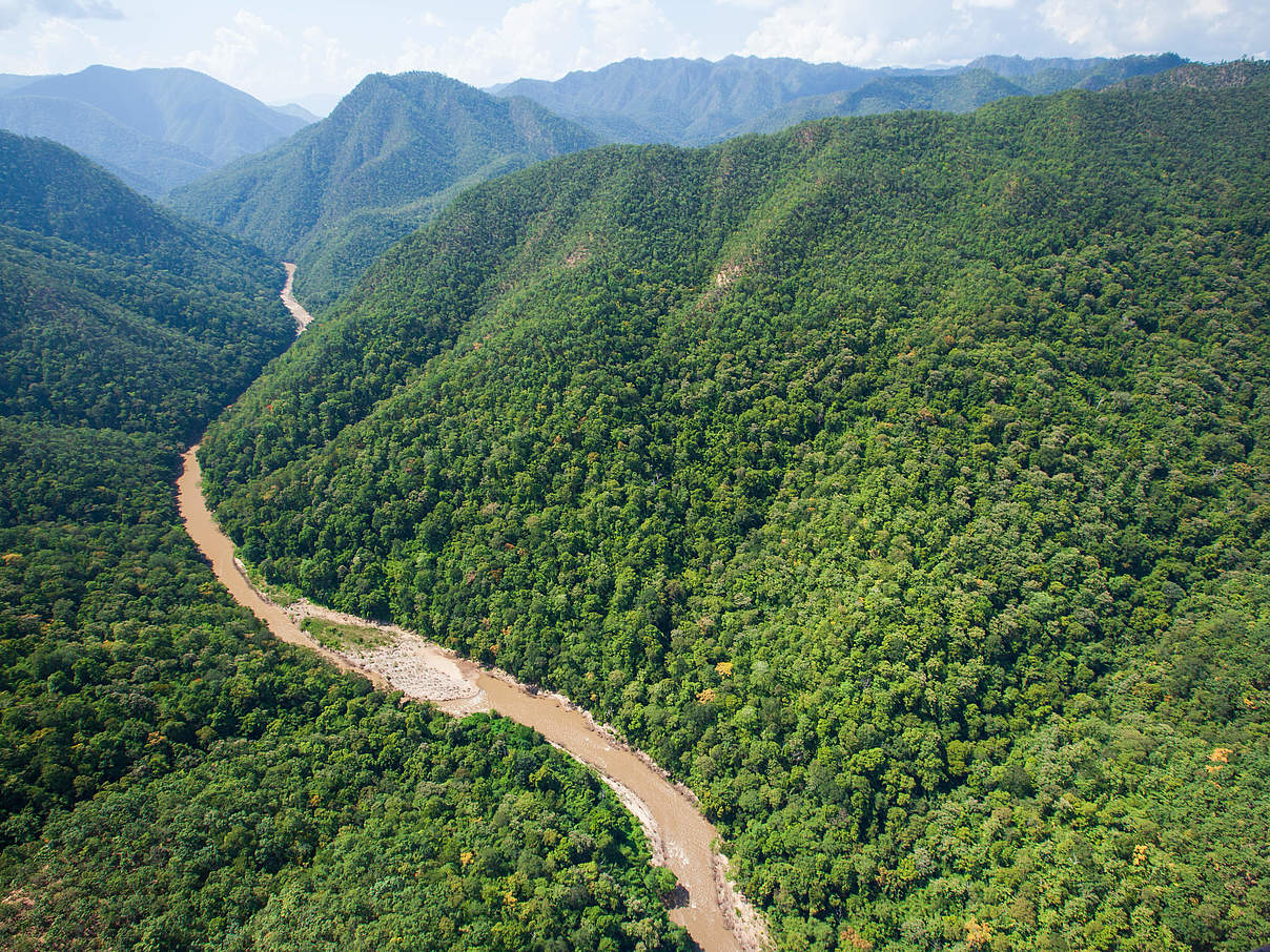 Teakwald an der Grenze zu Myanmar © Tanes Ngamsom / iStock / GettyImages