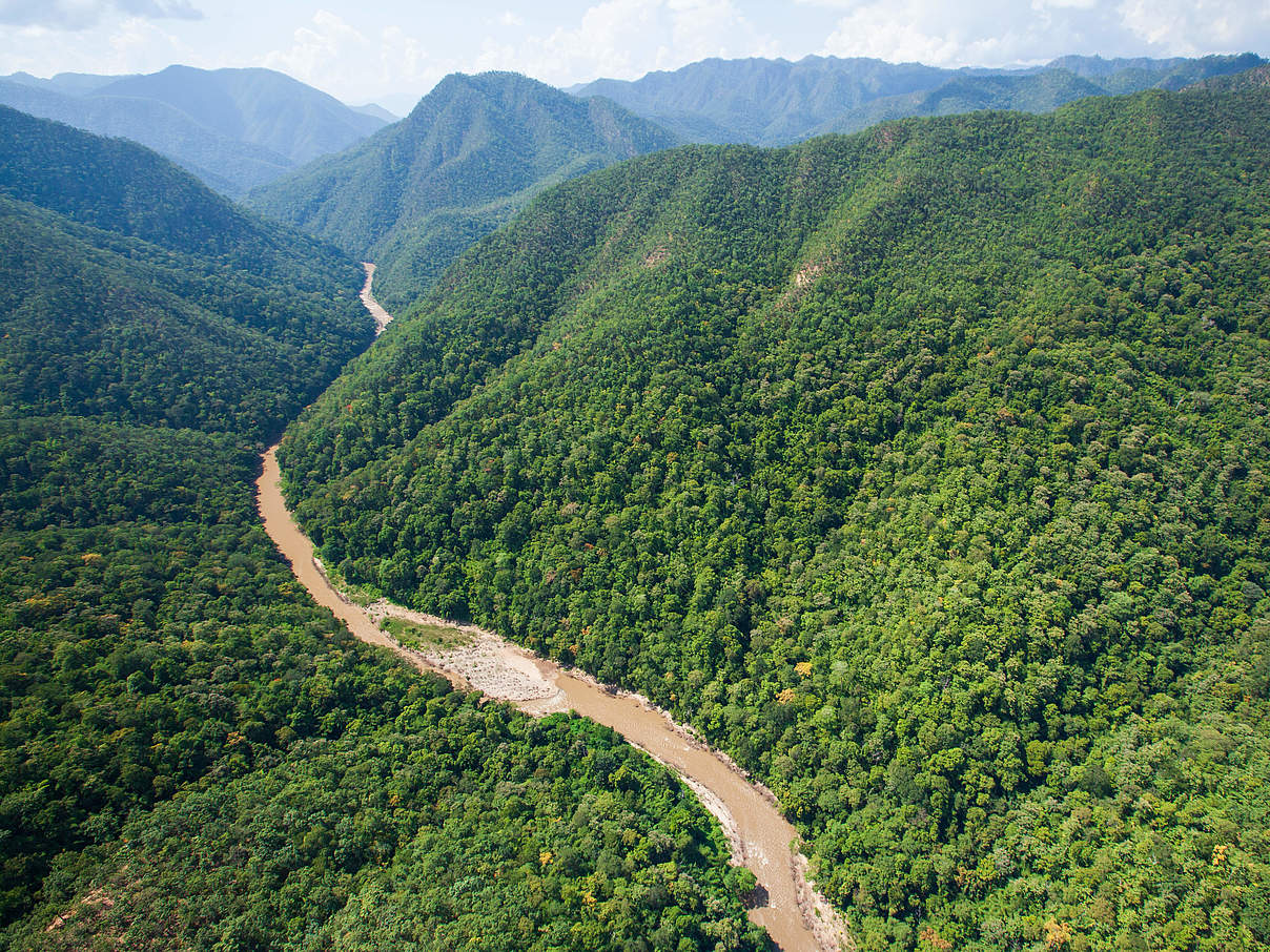 Teakwald an der Grenze zu Myanmar © Tanes Ngamsom / iStock / GettyImages