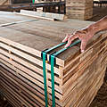 Zu Brettern verarbeitetes Holz © Nicolas Villaume / WWF-US