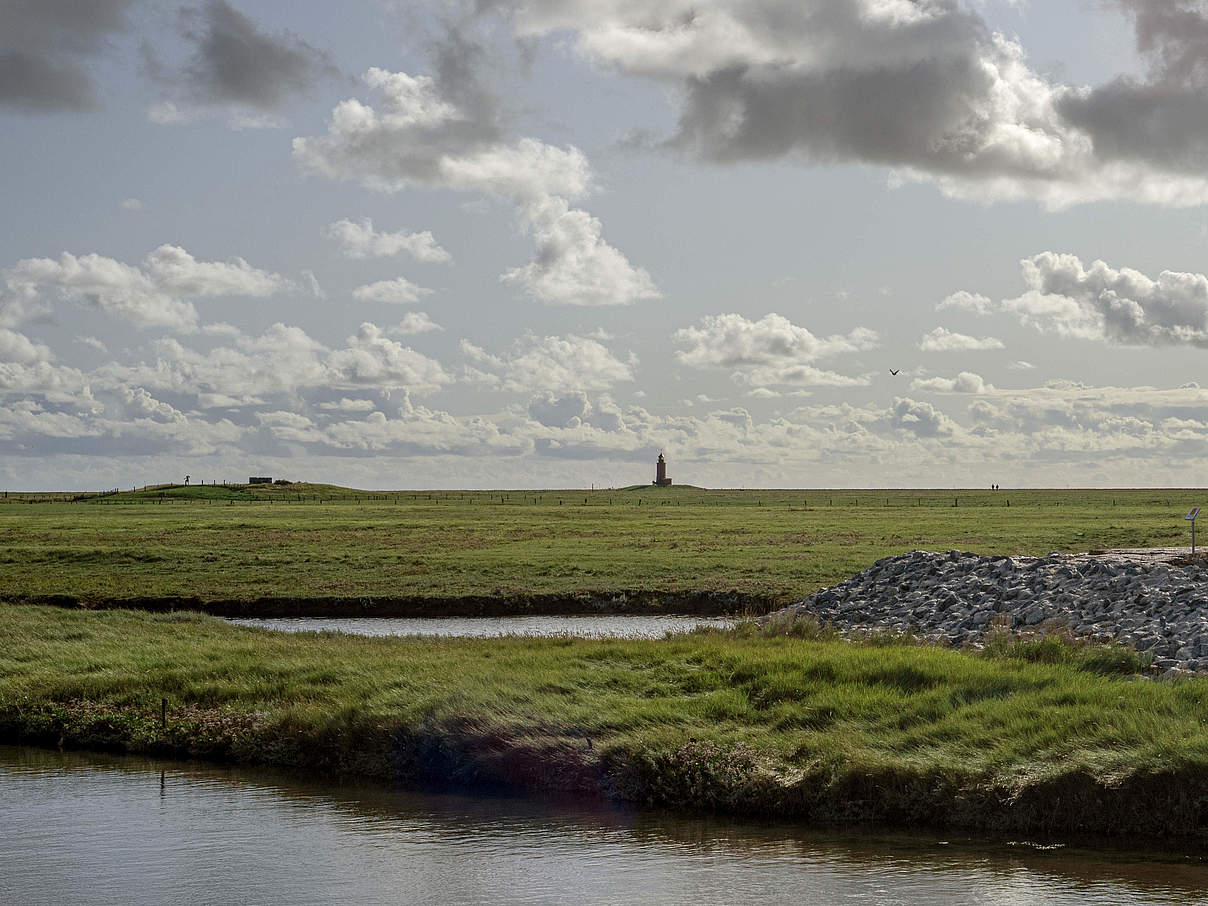 Wattenmeer, Nordseeküste © Claudi Nir / WWF