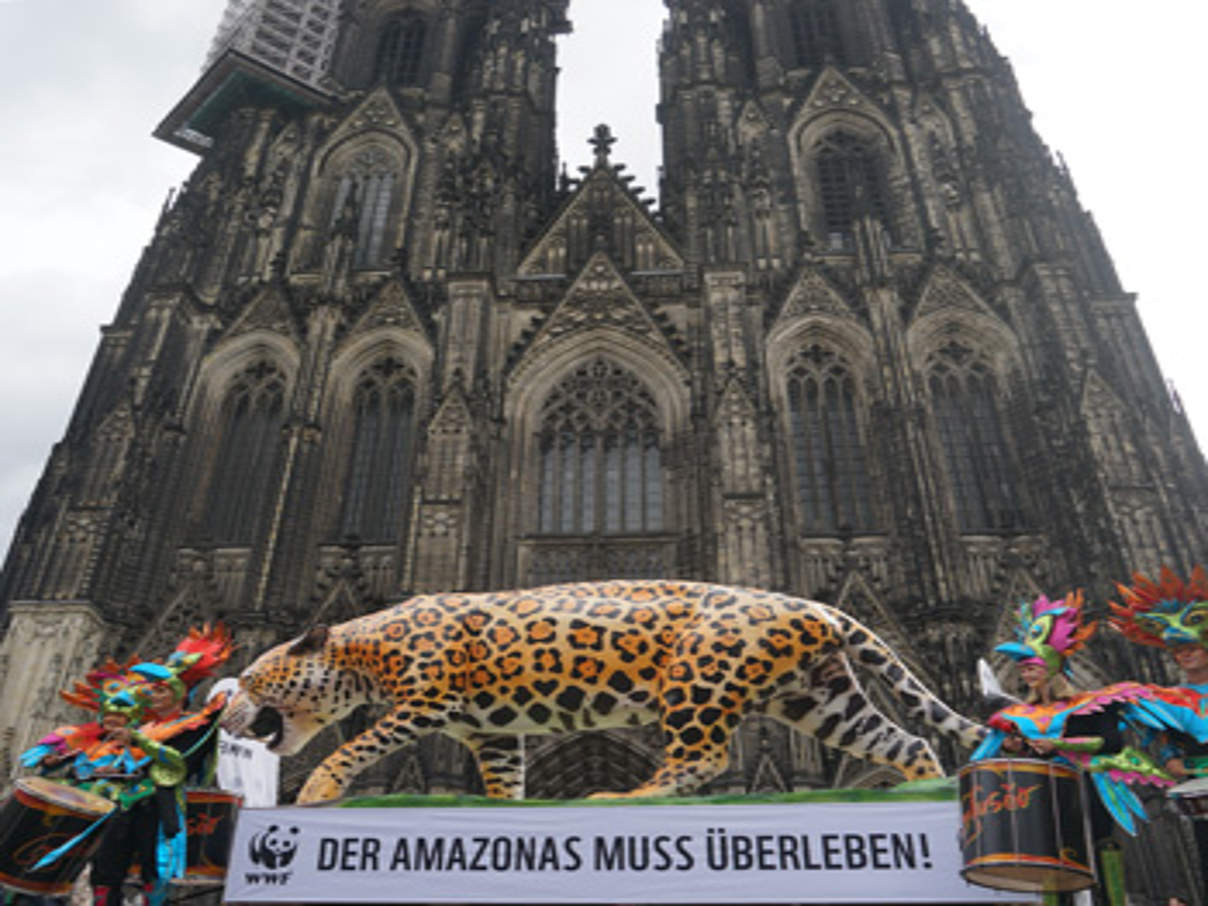 350 Amazonastag Koeln c Robert Guenther