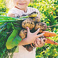 Kind mit Gemüseernte © Yana Tatevosian / GettyImages
