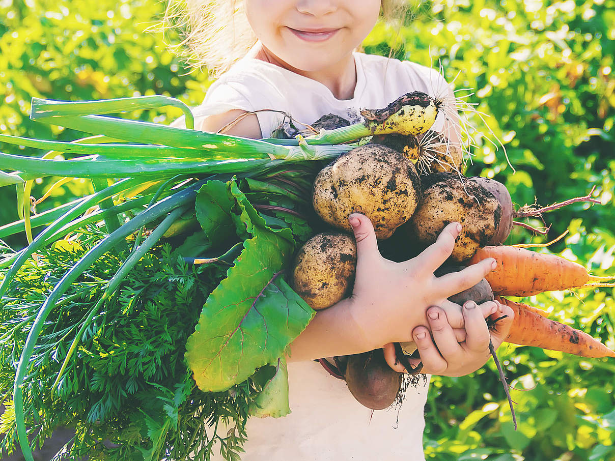 Kind mit Gemüseernte © Yana Tatevosian / GettyImages