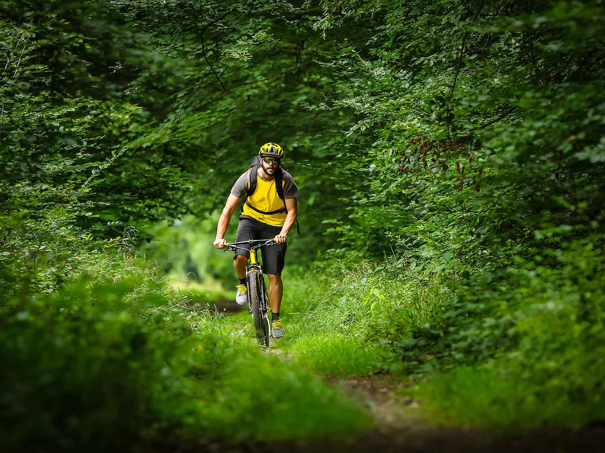 Radfahrer im Wald © GettyImages