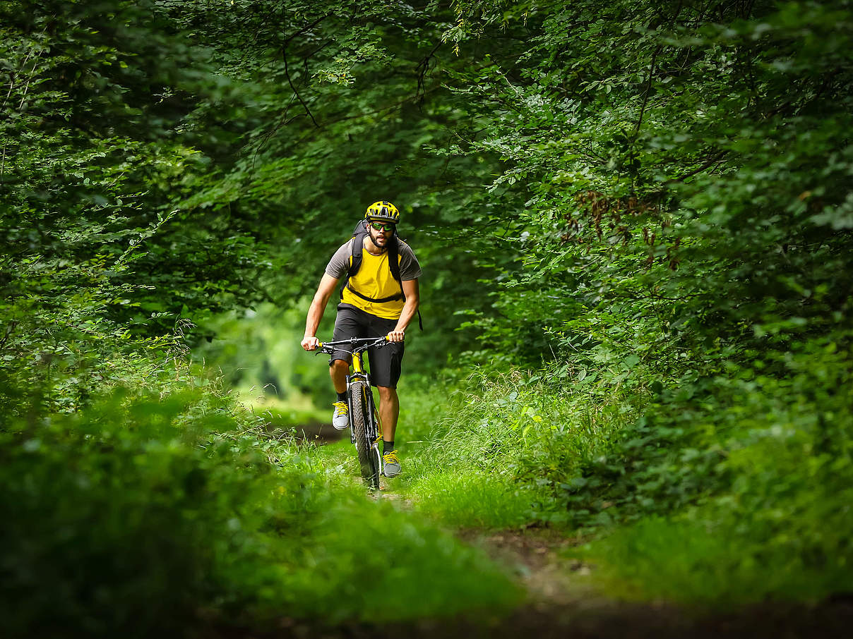 Radfahrer im Wald © GettyImages Radfahrer im Wald © GettyImages
