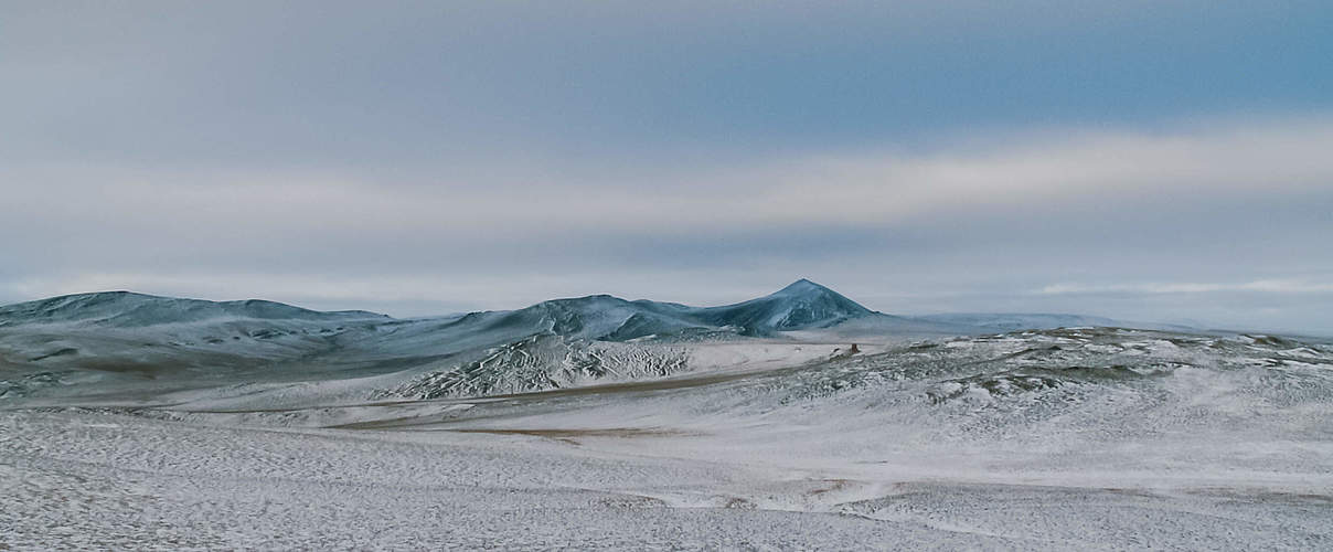 Die Wrangel-Insel in Sibirien © Getty Images