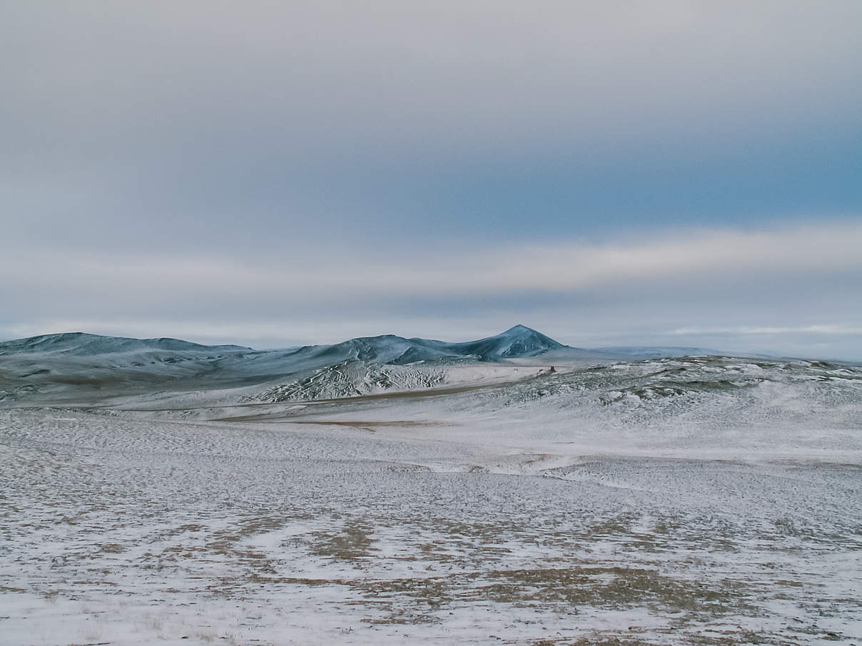 Die Wrangel-Insel in Sibirien © Getty Images