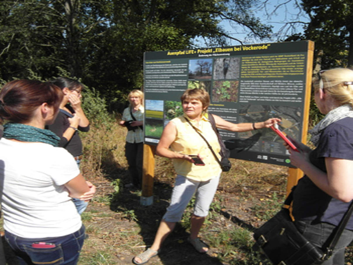 350 Elbaue Vockerode Exkursion mit App c WWF Exkursion mit der Lehrpfad-App © WWF
