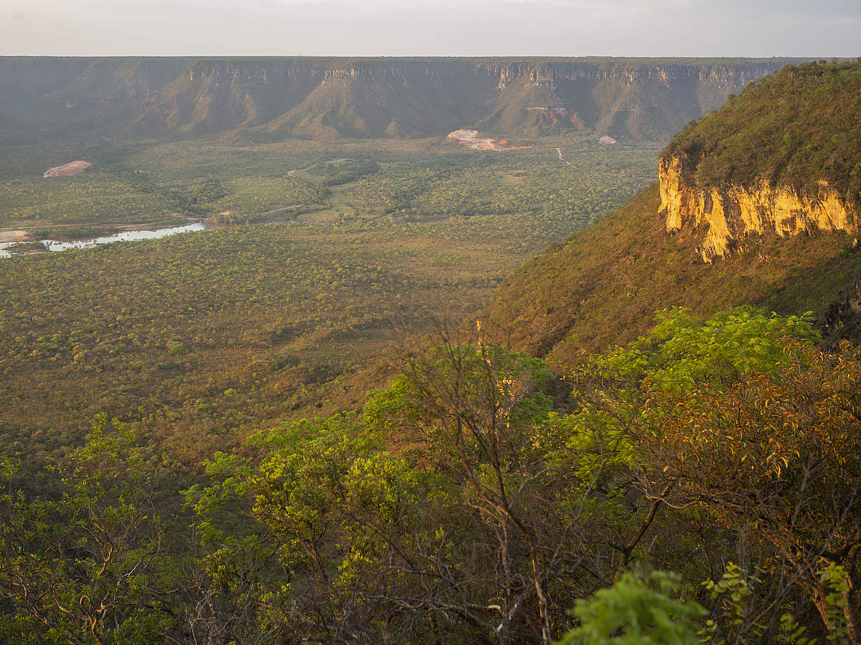 Wald- und Hügellandschaft im Cerrado, Brasilien @ David Bebber / WWF-UK