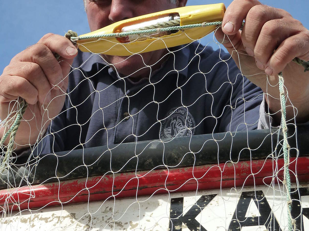 Mit Pingern ausgestattete Netze sind die Rettung für viele Flussdelfine © fishtek marine