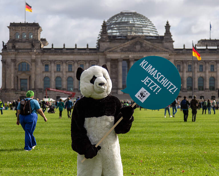 Ein Mensch im Pandakostüm hält beim Klimastreik im September 2021 in Berlin ein Schild mit der Aufschrift "Klimaschutz jetzt!". © Markus Winkler / WWF