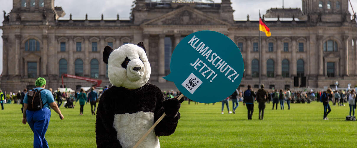 Ein Mench im Pandakostüm hält beim Klimastreik im September 2021 in Berlin ein Schild mit der Aufschrift "Klimaschutz jetzt!". © Markus Winkler / WWF