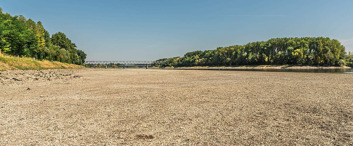 Niedriger Wasserstand und ausgedehntes trockenes Rheinbett während der Sommerdürre nahe Germersheim © Conny Pokorny/iStock/GettyImages