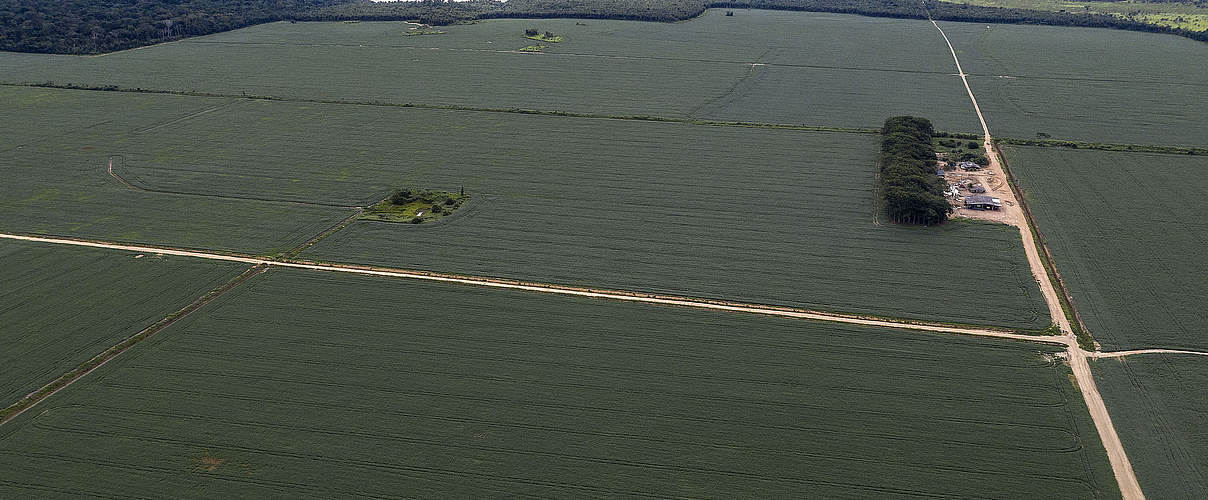 Sojabohnenplantage am BR-364 highway, Rondônia © Marizilda Cruppe / WWF-UK