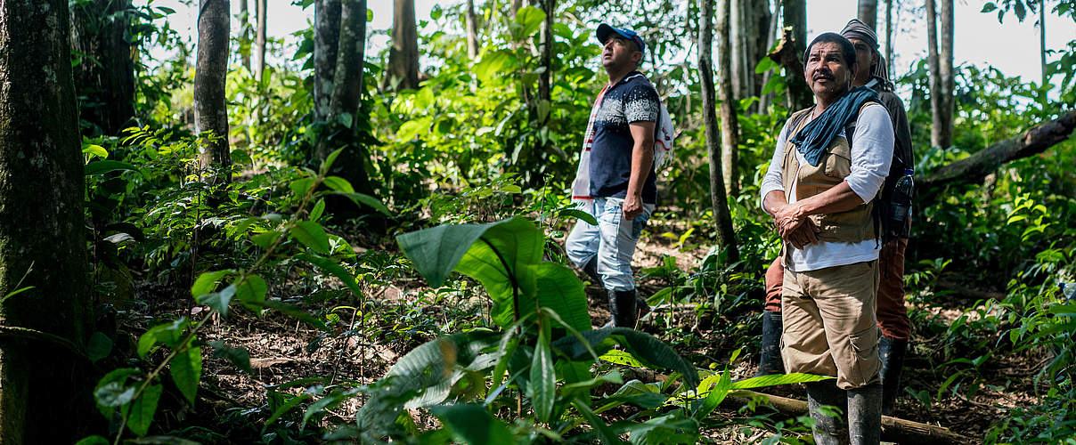 Waldschützer bei der Arbeit © Luis Barreto Photos