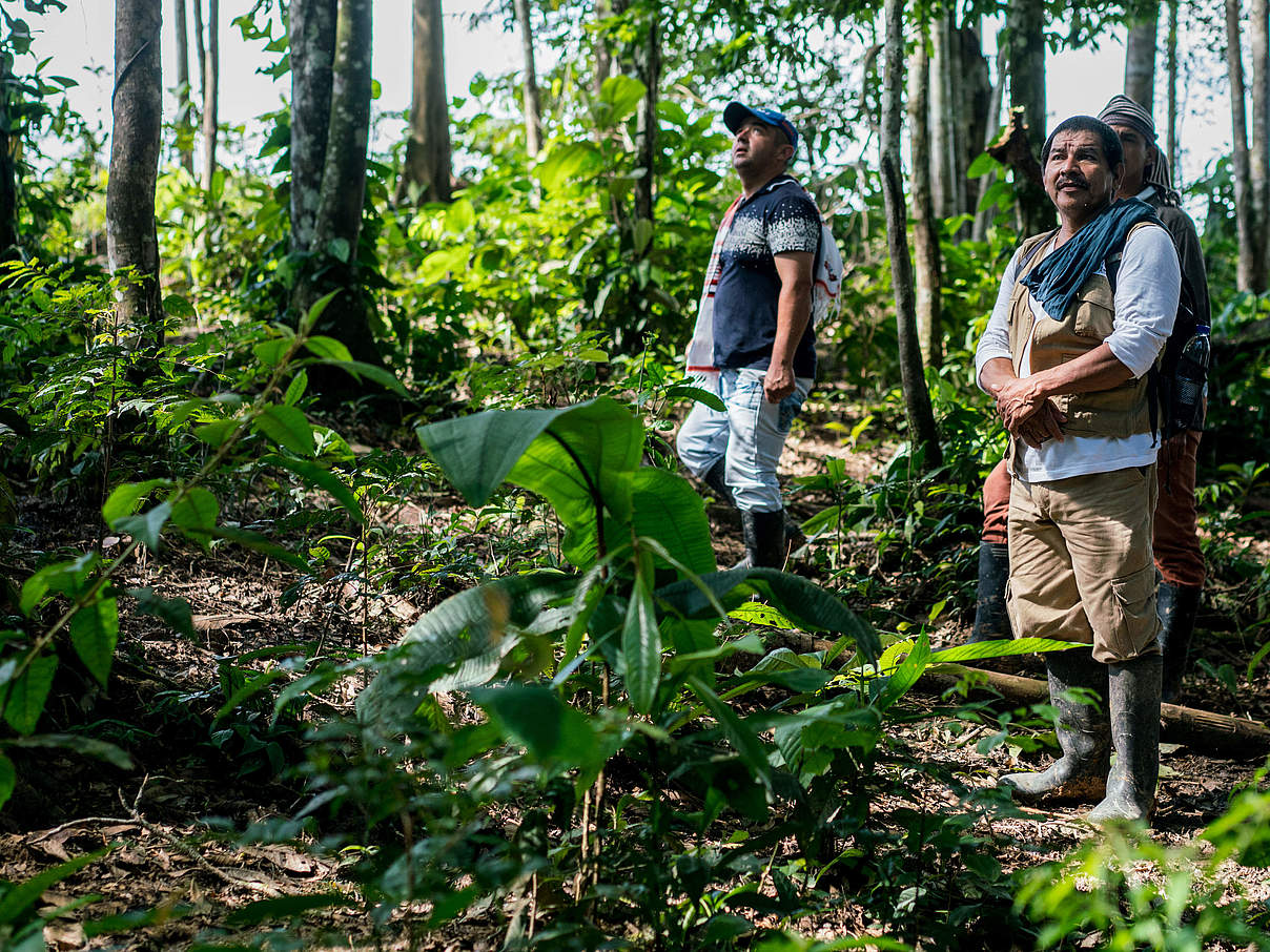Waldschützer bei der Arbeit © Luis Barreto Photos