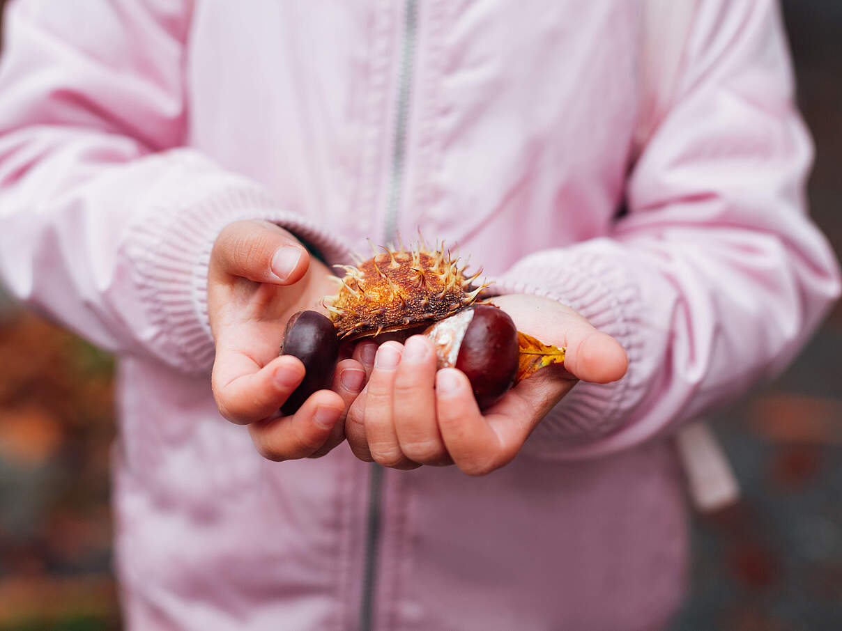 Kind mit Kastanien