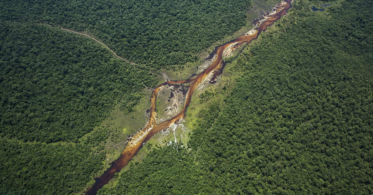 1,5 Milliarden US-Dollar für den Schutz der Regenwälder im Kongobecken