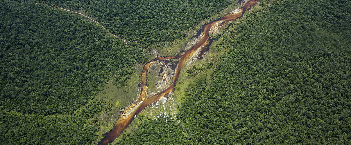 Luftaufnahme der Bekalikali Bai im Salonga Nationalpark © Karine Aigner / WWF-US