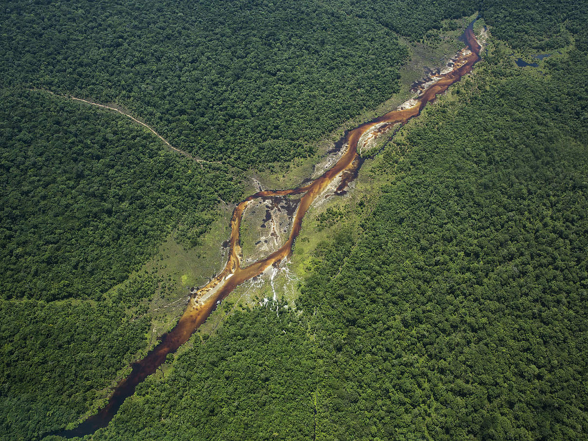 Luftaufnahme der Bekalikali Bai im Salonga Nationalpark © Karine Aigner / WWF-US