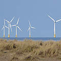 Windkraftanlagen © Hans-Ulrich Roesner / WWF