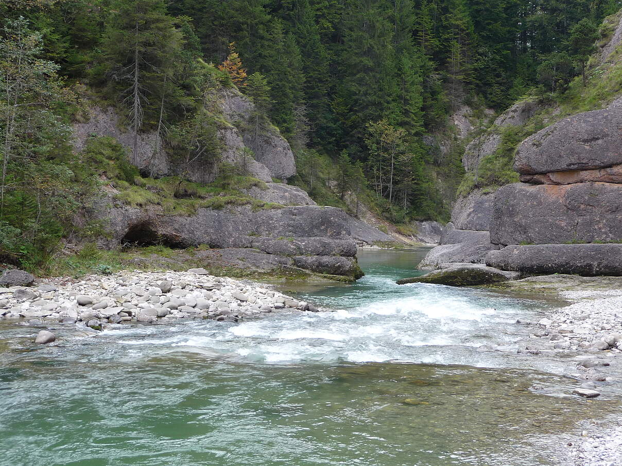 Die Ammer hat sich über Jahrtausende hinweg durch die Felsen gegraben und eine tiefe canyonartige Schlucht geschaffen © Claire Tranter / WWF Die Ammer hat sich über Jahrtausende hinweg durch die Felsen gegraben und eine tiefe canyonartige Schlucht geschaffen
