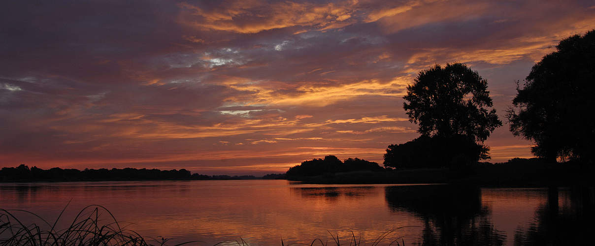 Sonnenuntergang an der Elbe © Wild Wonders of Europe / Dieter Damschen / WWF