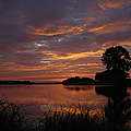 Sonnenuntergang an der Elbe © Wild Wonders of Europe / Dieter Damschen / WWF