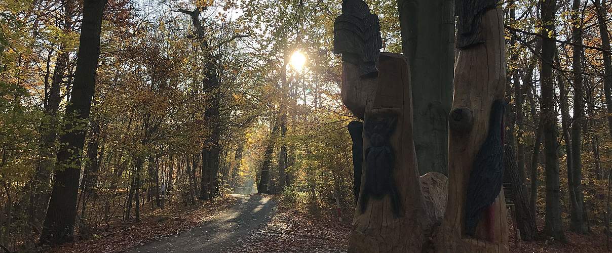 Naturerbe-Erlebnisweg Zerweliner Heide © Anet Hoppe