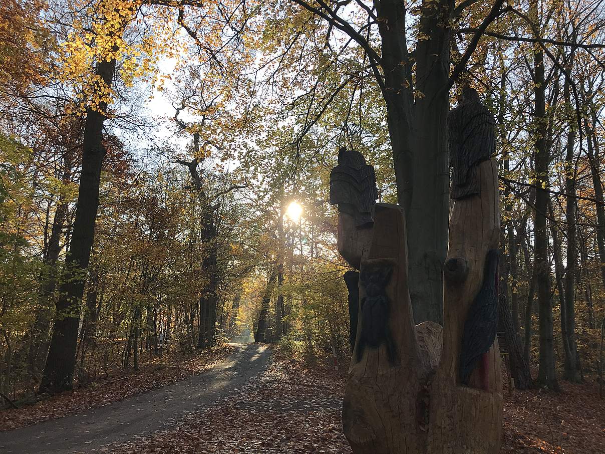 Naturerbe-Erlebnisweg Zerweliner Heide © Anet Hoppe