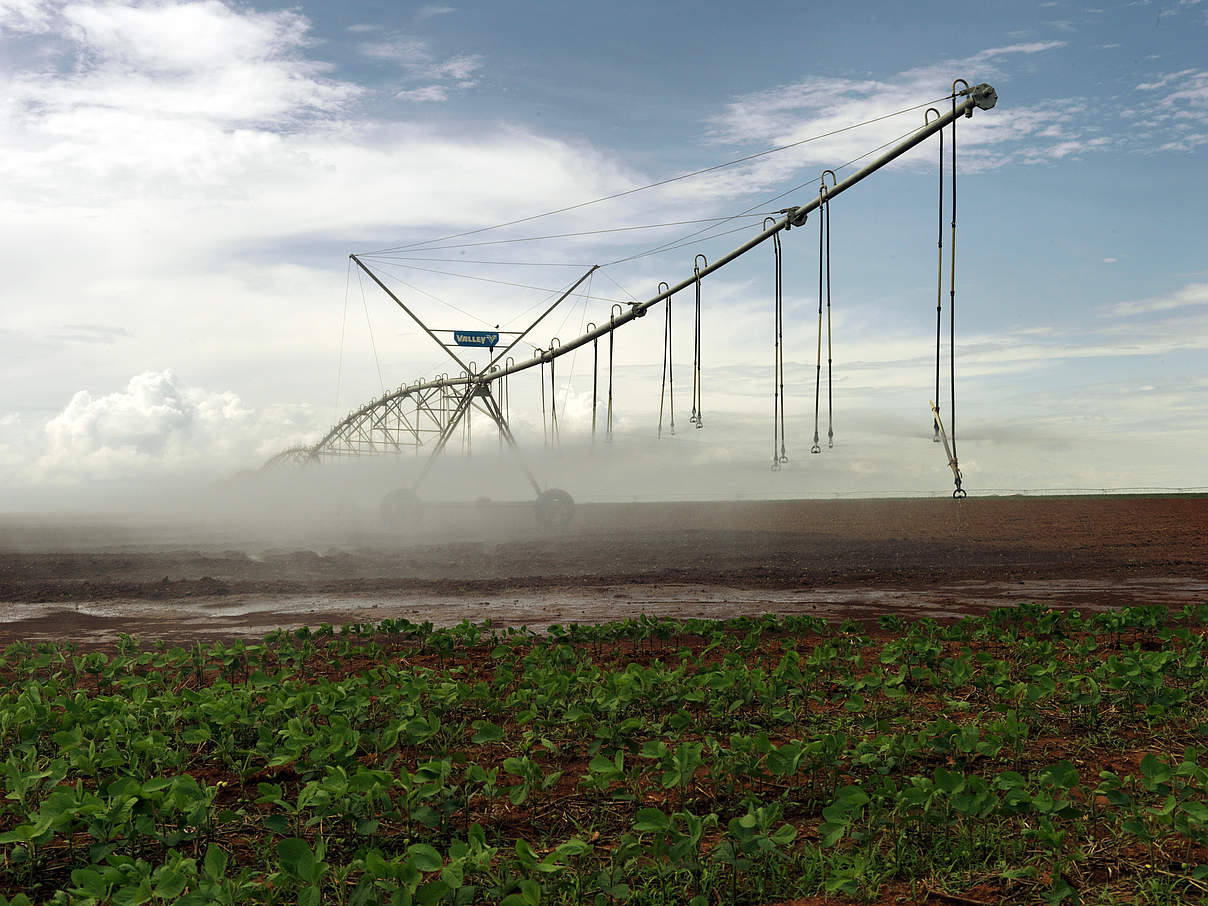 Sprinkleranlage beim Feldanbau @ Peter Caton / WWF