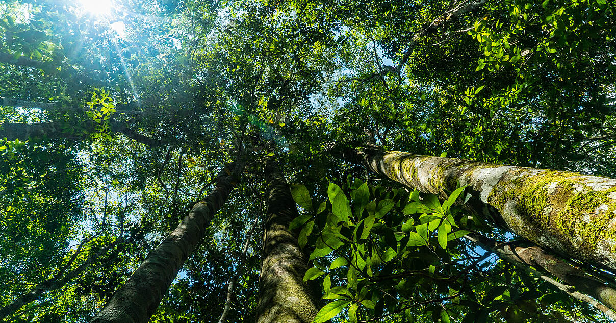 WWFStudie analysiert Wissen um Biodiversität
