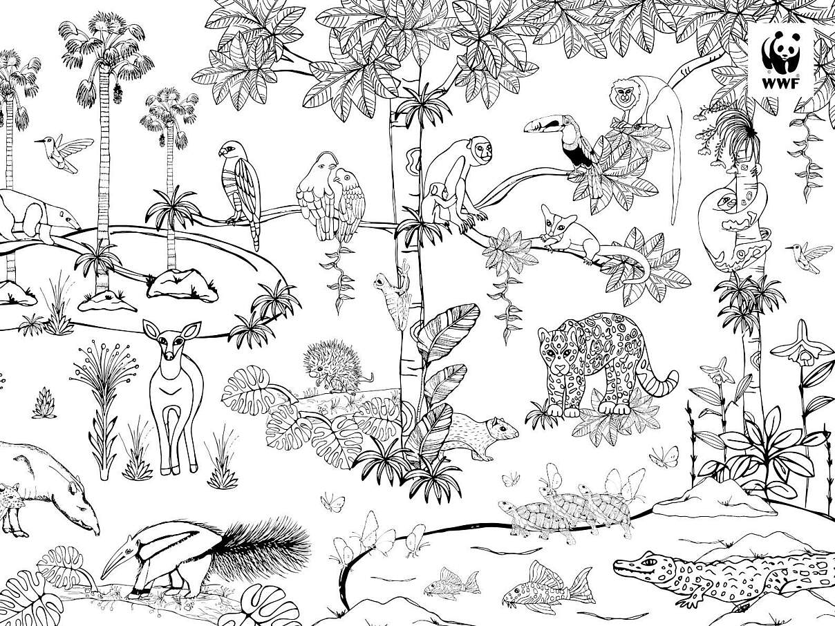 Regenwald zum Ausmalen 