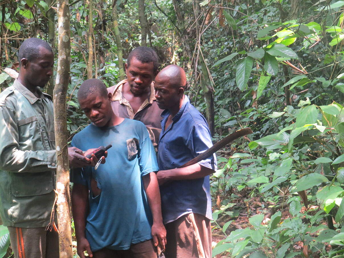 Biomonitoring-Team in Lobéké mit GPS-Gerät.