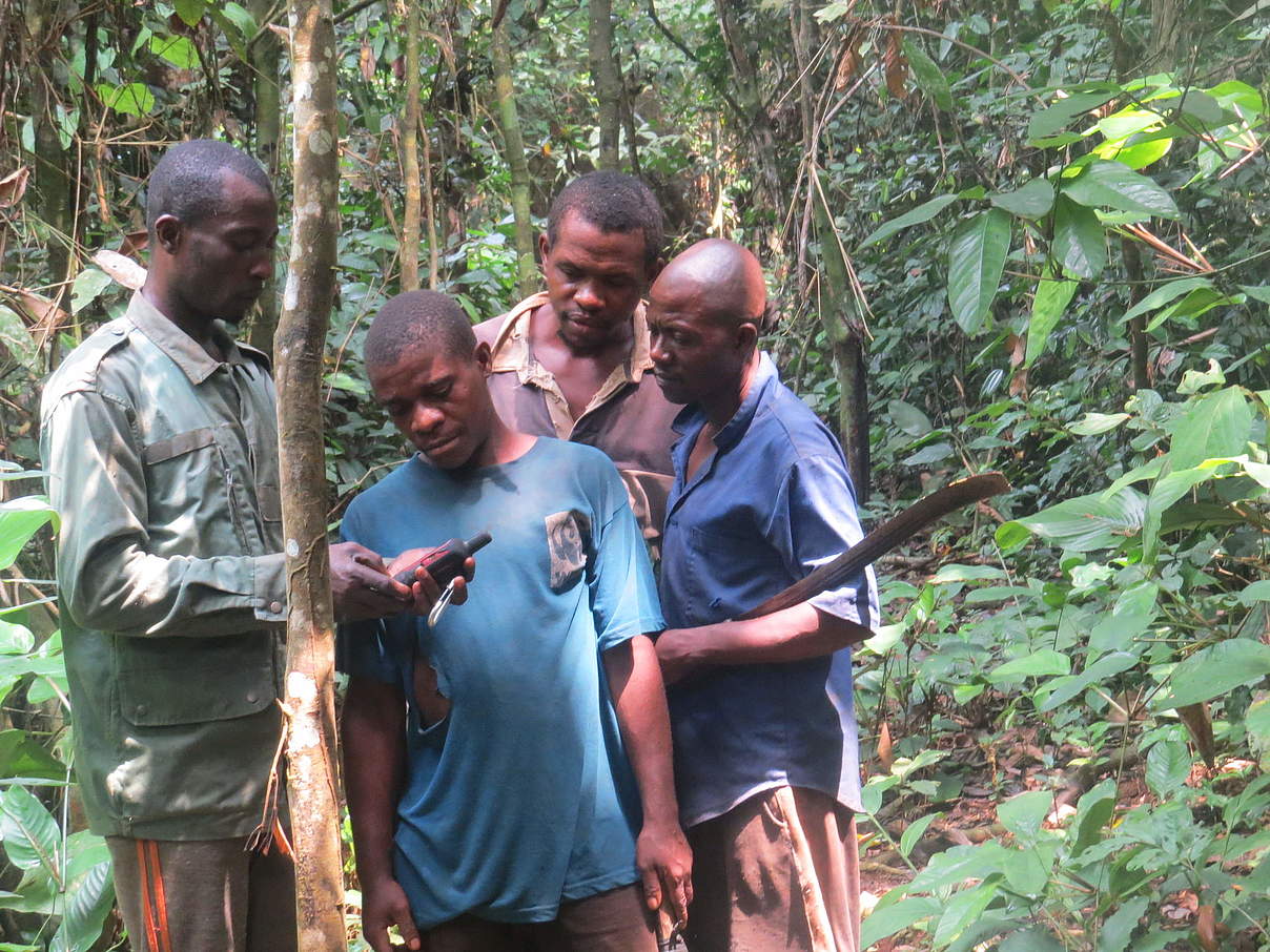 Biomonitoring-Team in Lobéké mit GPS-Empfänger © WWF