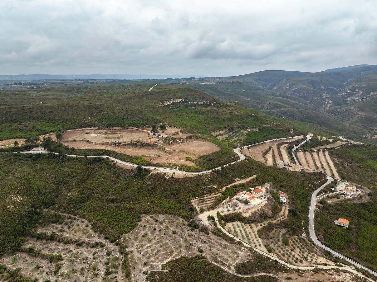 Terrassen in der Region Cortes de Pallas, Spanien © WWF