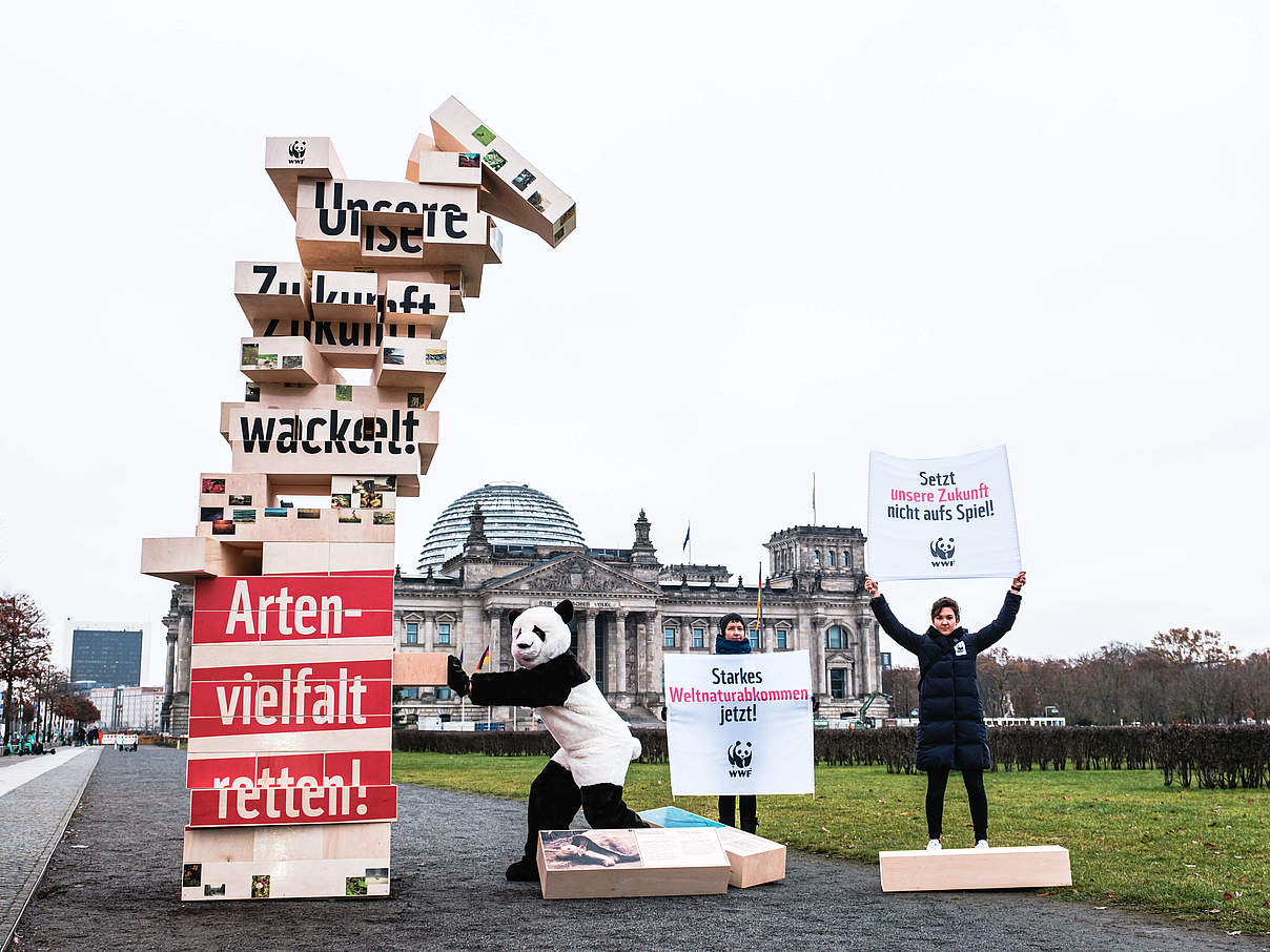 WWF Mediastunt am Bundestag © Andi Weiland 