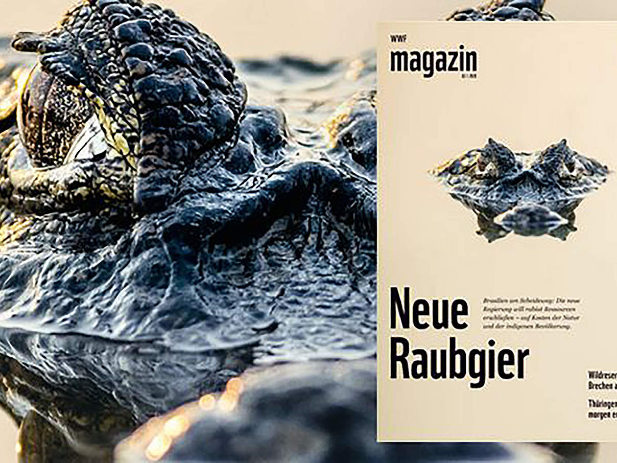 WWF Magazin Ausgabe April © WWF