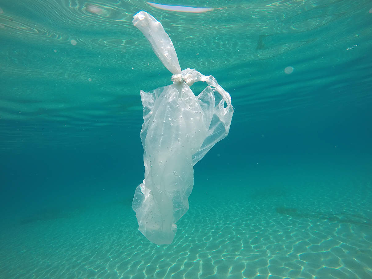 Plastiktüte im Wasser © GettyImages