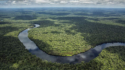 Luftbild auf einen sehr kleinen Teil des Salonga-Nationalparks © Karine Aigner / WWF US