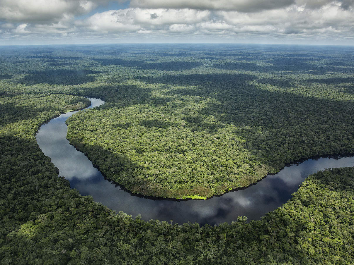 Luftbild auf einen sehr kleinen Teil des Salonga-Nationalparks © Karine Aigner / WWF US