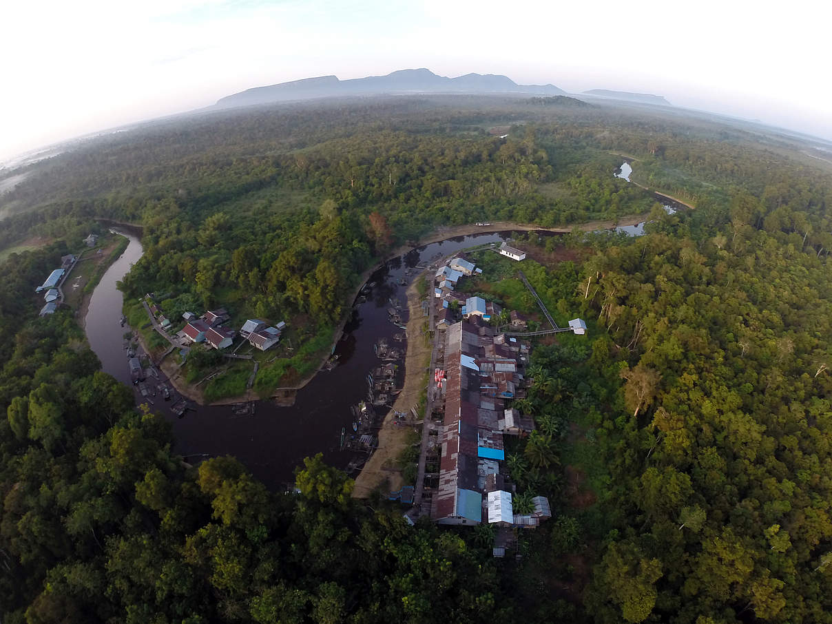 Das "Grüne Dorf" Melemba in Westkalimantan © WWF Indonesia